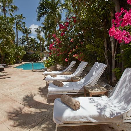 Paradera Park Aruba Oranjestad Eksteriør bilde