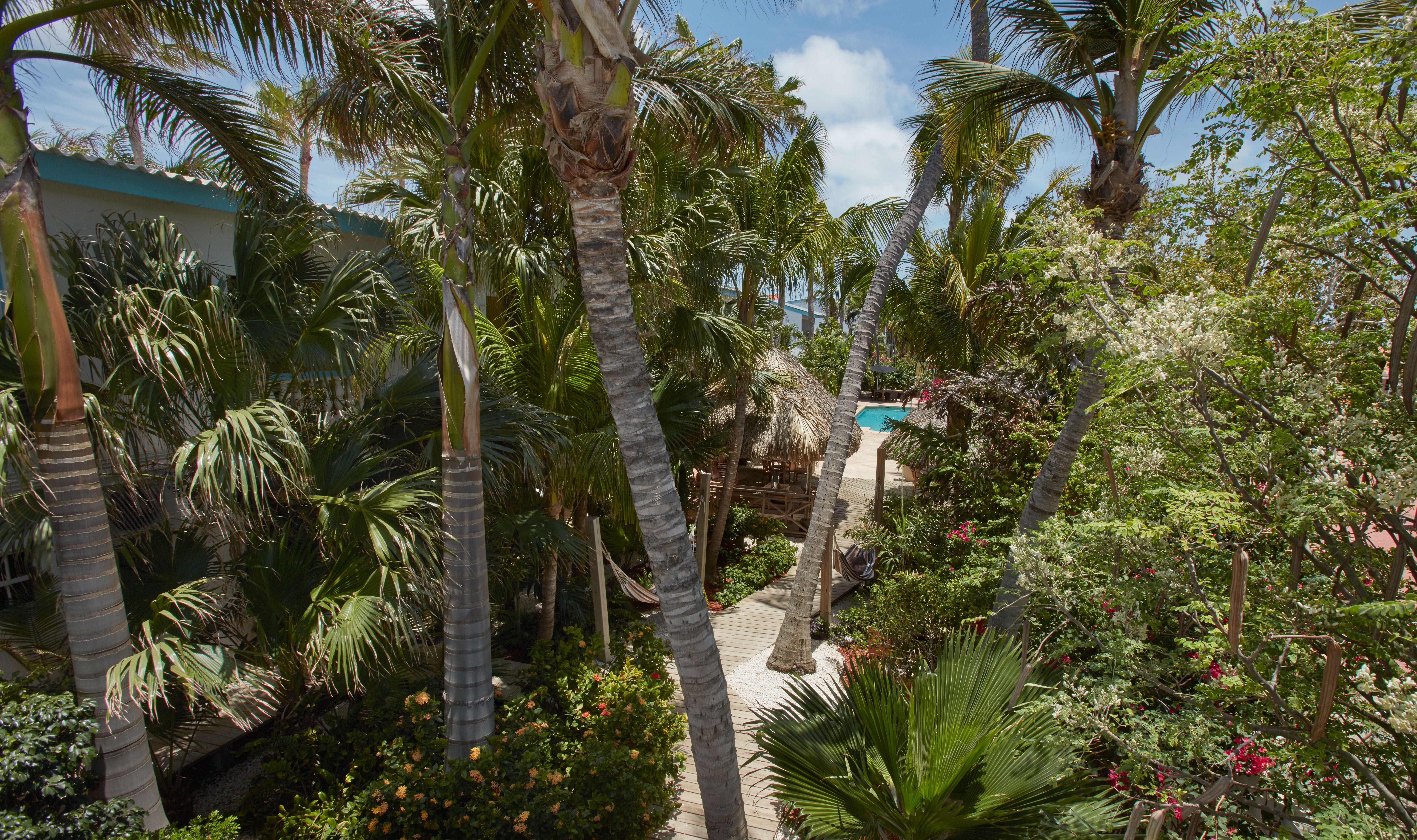 Paradera Park Aruba Oranjestad Eksteriør bilde